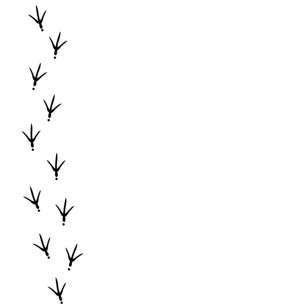 Fondo de vector con rastro de aves en el lado izquierdo. Pista de huellas de pájaro negro — Vector de stock