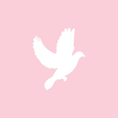 Uçan güvercin, pembe arka plan izole. Vektör çizim.
