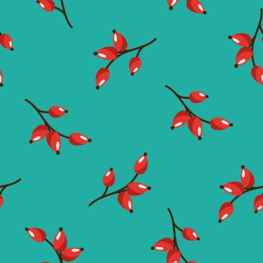 Turkuaz arka plan üzerinde yabani gül kırmızı meyveler ile çiçek Dikişsiz desen doku. Kış vektör