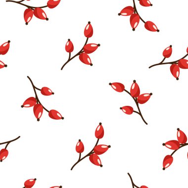 Yabani gül kırmızı meyveler ile çiçek Dikişsiz desen doku. Beyaz arka plan. Vektör çizim dallar ile.