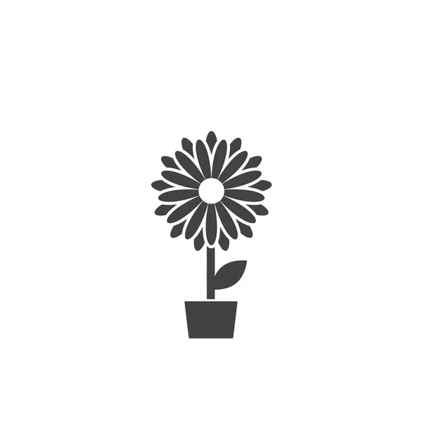 Schwarze flache Ikone der Chrysanthemenblume im Topf. große Blüte mit großen scharfen Blütenblättern und weißem Kern. — Stockvektor