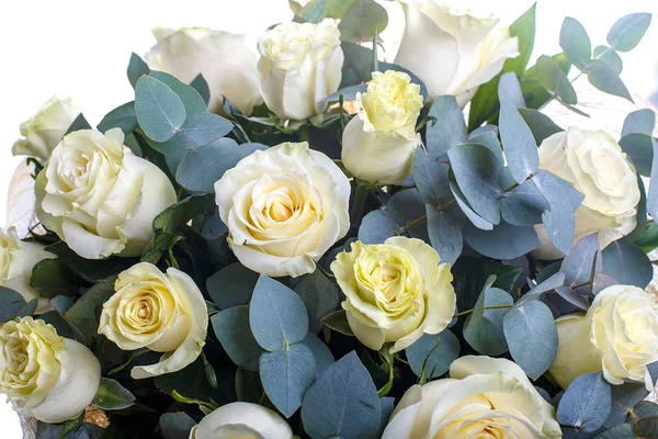 Buquê de rosas brancas e eucalipto — Fotografia de Stock