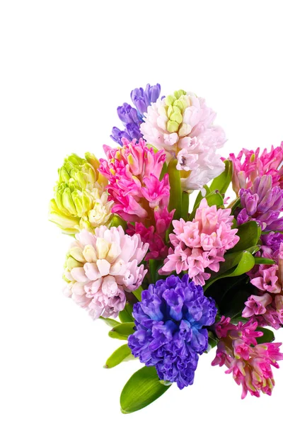 Multicolored hyacinths in a bouquet. — Stock Photo, Image