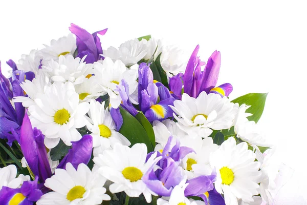 Bouquet of flowers from chamomiles and irises — Stock Photo, Image