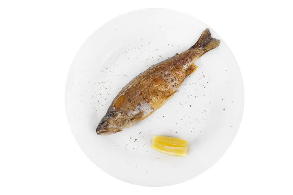 Placa de truta inteira de peixe isolada em branco isolado — Fotografia de Stock