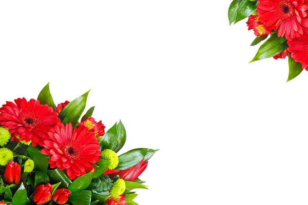 Bouquet of gerberas on a white background — Stock Photo, Image