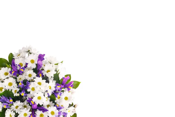 Bukiet kwiatów z rumianku i tęczówek na białym tle — Zdjęcie stockowe