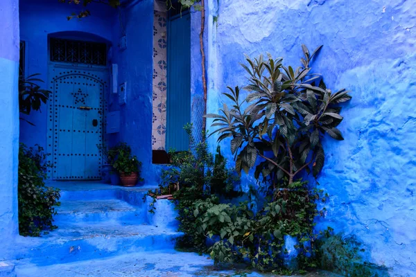Mavi şehir: Chefchaouen Morocco