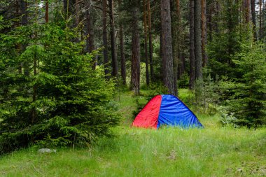 Ormandaki bir mavi ve kırmızı çadır