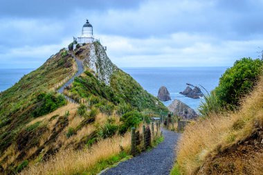 Nugget point, Yeni Zelanda