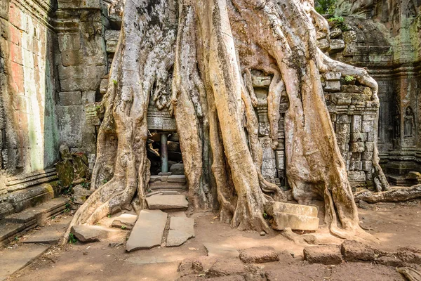 Angkor wat, siem hasadı, Kamboçya