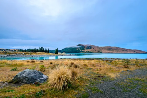Lake tekapo, south Island, Yeni Zelanda