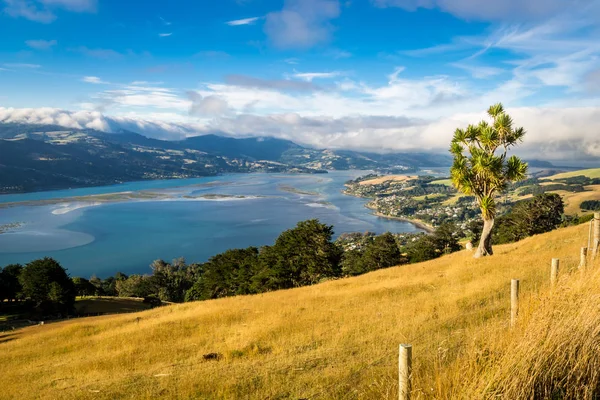 Краєвид з Нової Зеландії — стокове фото