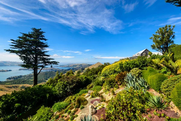 Сади Larnach замок, Нова Зеландія — стокове фото