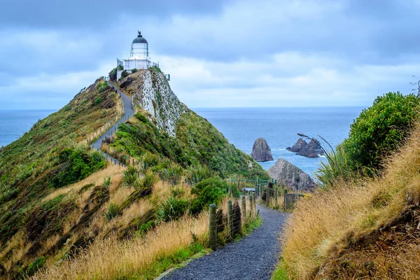 Nugget point, Yeni Zelanda