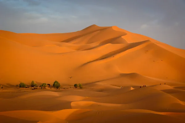 Soluppgång vid Erg Chebbi, Sahara, Marocko — Stockfoto