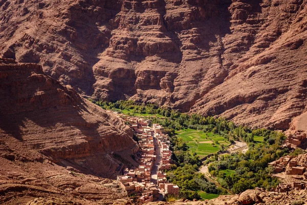 Dades oasis, Dades Gorge, Morocco — Stock fotografie