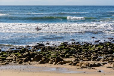 Bir sörfçü içinde Victoria Bay, Güney Afrika