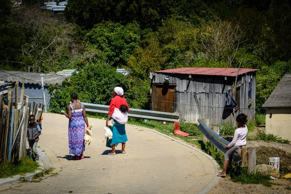 Knysna ilçede tavuklarda taşıyan kadınlar