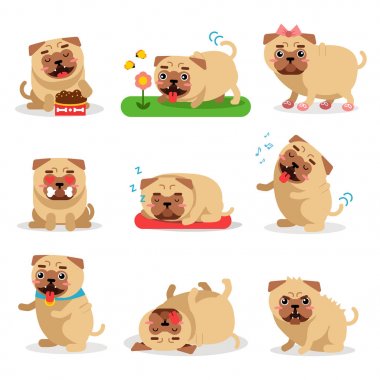 Cute pug dog activities during day set. Dog daily routine vector illustrations