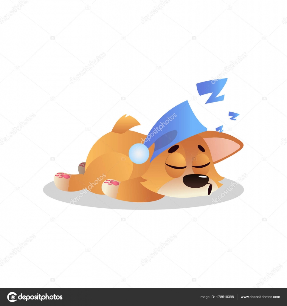 Doucement dormir corgi en bleu Bonnet avec pompon. Personnage de dessin animé de chiot.