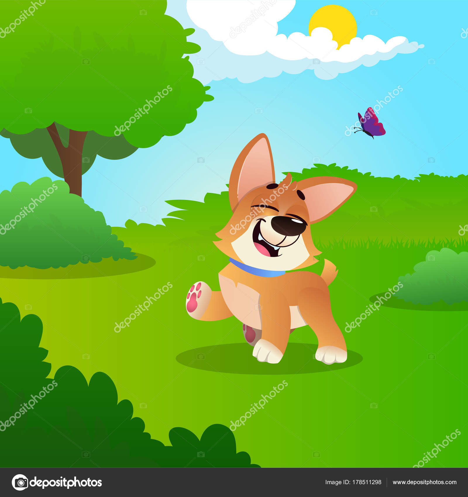 Corgi poco divertente a piedi da prato verde nel parco Giornata di sole estivo Paesaggio pittoresco della natura con alberi cespugli cielo blu