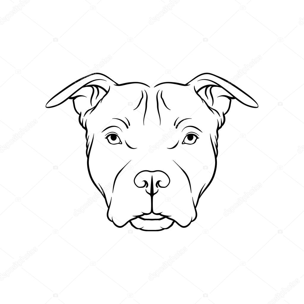 Imágenes: animales domésticos para dibujar | Boceto blanco y negro de