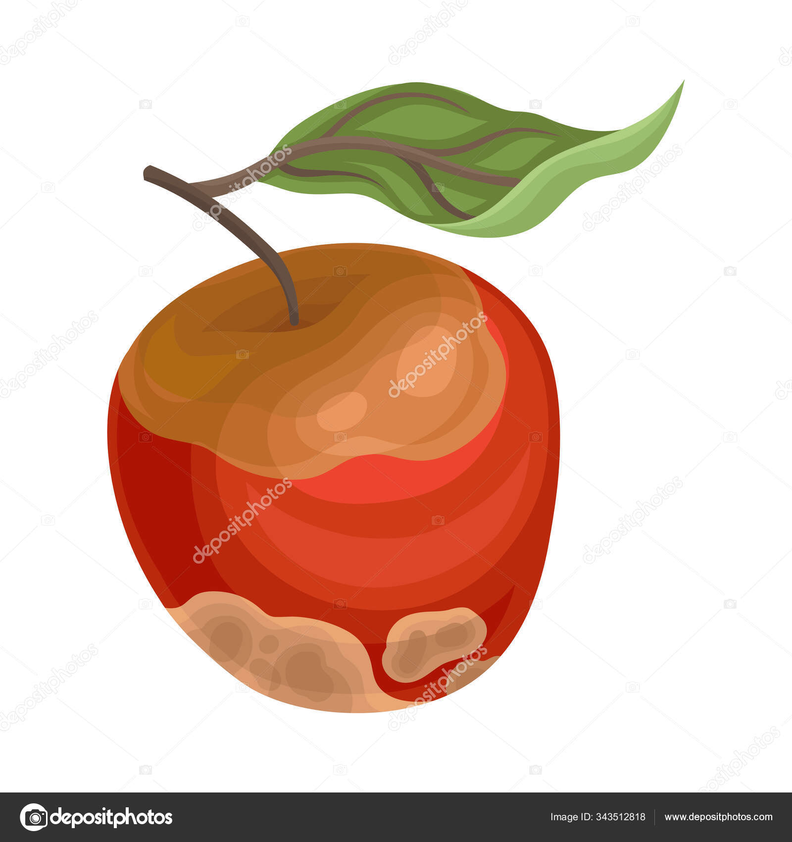 Spoiled And Rotten Apple Fruit With Skin Covered With Stinky Rot Vector Illustration Stock Vector Image By C Happypictures
