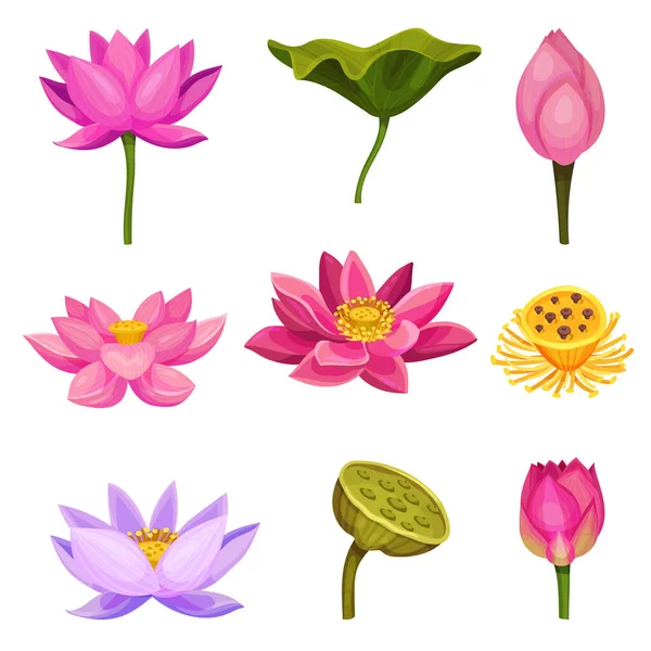 派手な花の背景 Vectores Grafico Vectorial 派手な花の背景 Imagenes Vectoriales De Stock Pagina 2 Depositphotos 派手な花の背景 Vectores Grafico Vectorial 派手な花の背景 Imagenes Vectoriales De Stock Pagina 2 Depositphotos