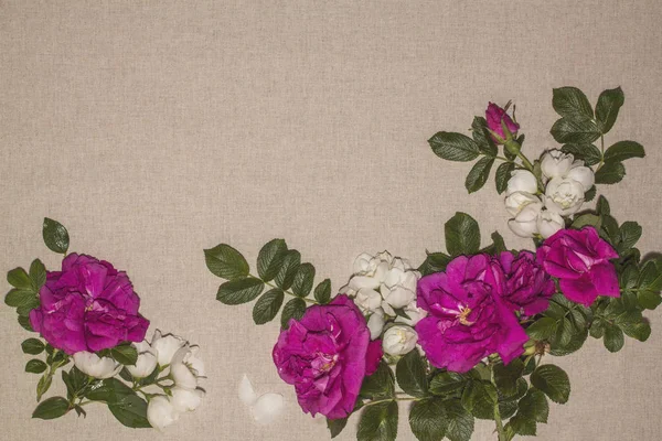 A tea rose with green leaves and jasmine flowers on a linen fabric background.