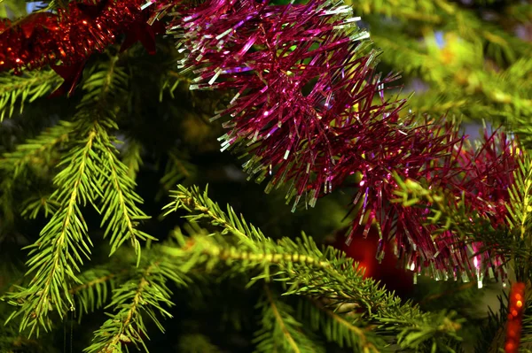 Heldere Glanzende Decoraties Voor Kerstmis Nieuwjaar Hangen Een Groene Sparren — Stockfoto