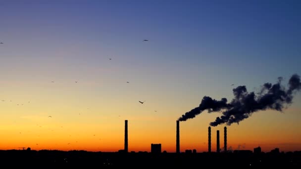 Sunset over a Smoking thermal power plant. The sun moves over the cooling towers and chimneys. Thick smoke rises high.. Flying birds on sunset background. Birds fly South — Stock Video