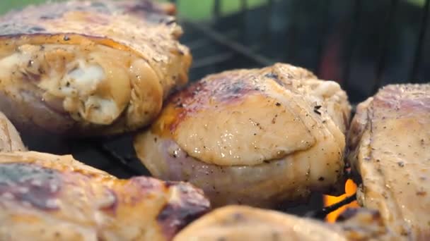 Frango frito em brasas close-up. Cozinhar carne piquenique ao ar livre — Vídeo de Stock