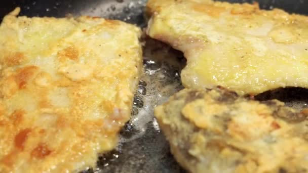 Gebakken vis koken in een pan close-up. Broodvis met schroefdraad, gebakken voedsel — Stockvideo