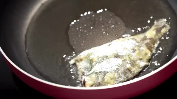 Poisson frit dans une poêle jusqu'à ce que doré brun, morceaux de poisson frais sont amis dans une poêle à frire dans la farine. Chef cuisine du poisson — Video