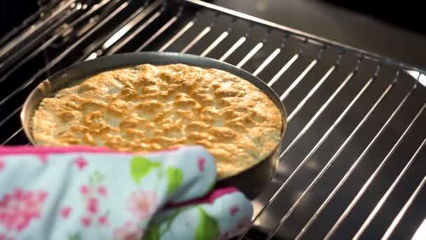 Appeltaart Charlotte koken in de oven close-up. Zelfgemaakt voedsel — Stockvideo