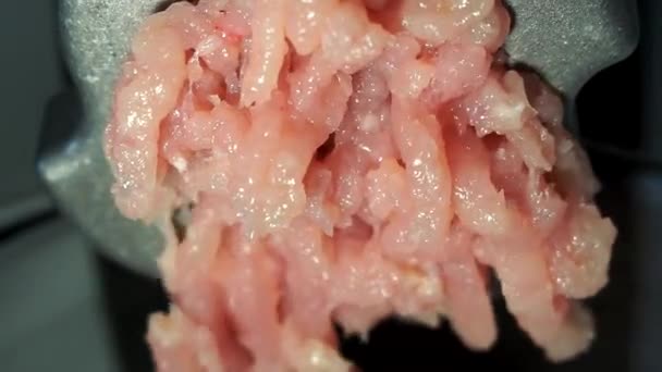 Minced meat from a meat grinder close up — Stock Video