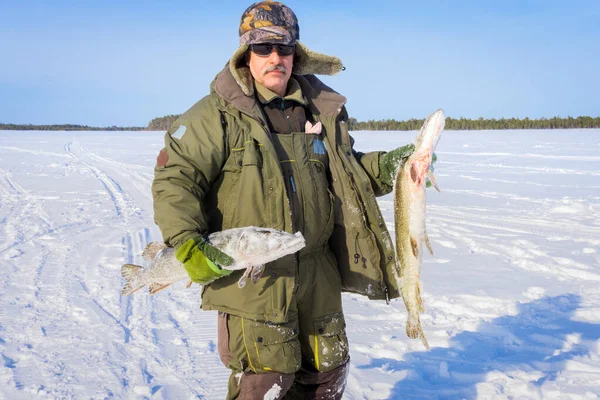 Man holds a large fish pike in winter. Winter fishing catch trophy outdoor activities hobby — Stock Photo, Image