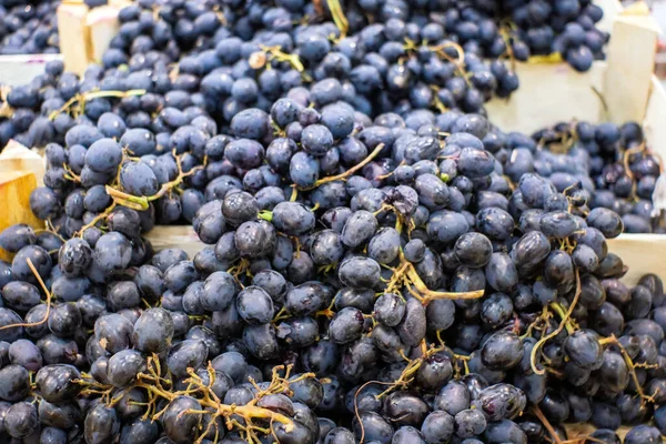 Érett friss fekete szőlő a piacon pult — Stock Fotó