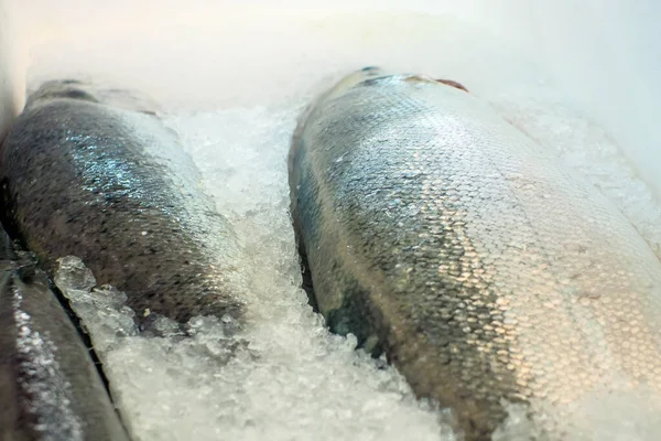 Close up peixe fresco em balde de gelo ou peixes congelados em mercearia uso para fundo alimentos crus — Fotografia de Stock