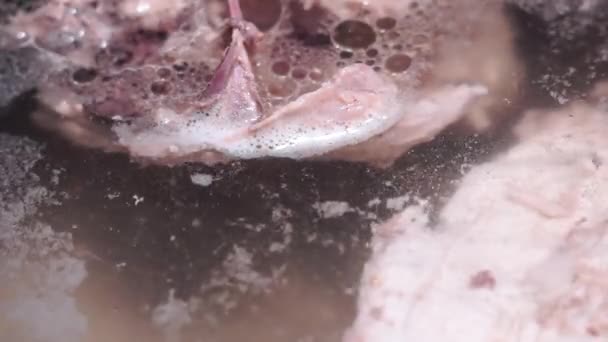 Memasak sup, daging rebus dalam air. Unggas, ayam rebus, close-up — Stok Video