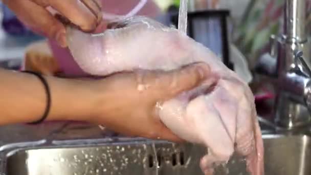 Wäscht rohes Huhn beim Kochen hausgemachtes Essen — Stockvideo