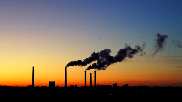 日没時に工場の煙突から煙が日没時の発電所の煙突。大気汚染の概念。日没の背景に飛んで鳥。鳥が南へ飛ぶ — ストック動画
