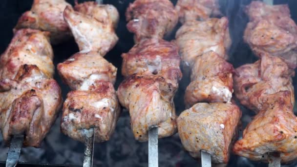 Ψητό κρέας κοντά στα κάρβουνα. Μπάρμπεκιου, μαγείρεμα χοιρινό — Αρχείο Βίντεο