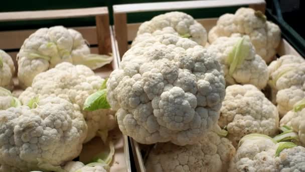 Witte bloemkool ligt op de toonbank in de supermarkt. Natuurlijk biologisch voedsel. groenten op de boerenmarkt — Stockvideo