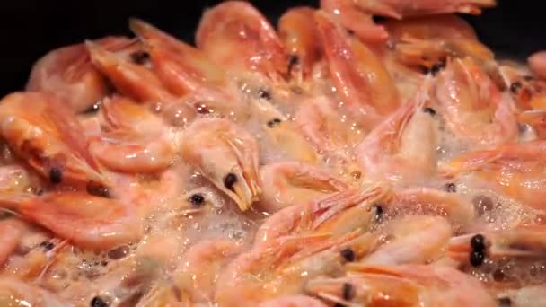 Räkor friterade. Shrimps Prawns steks i en stor stekpanna. Stekta räkor i en stekpanna. Beredning av skaldjur — Stockvideo