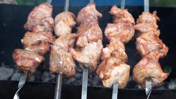 고기는 그릴 위에 놓고. 스키 이 버 에서는 스로쉬케 밥 을 요리한다. 뜨거운 숯으로 돼지고기 고기를 요리하는 모습. — 비디오