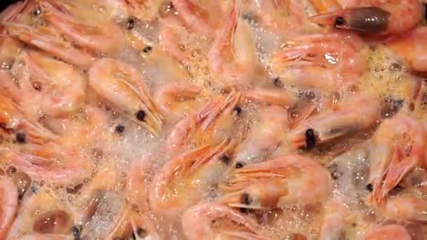 Cucina gamberetti primo piano, sfondo. Pesce fritto, stufato — Video Stock