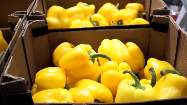 Gelbe Paprika auf der Markttheke. Verkauf von frischem Gemüse, Paprika — Stockvideo