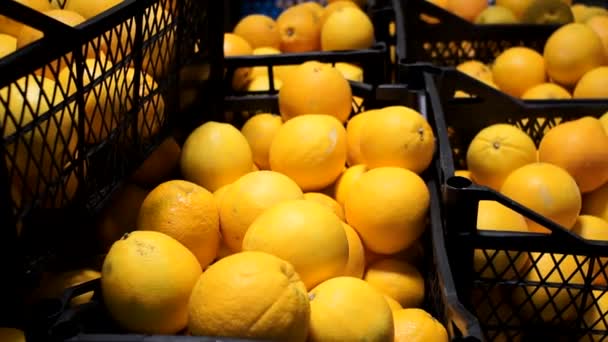 Свежие спелые фрукты продаются в супермаркете в продуктовом отделе фруктов. — стоковое видео